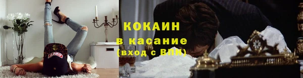 стаф Инсар