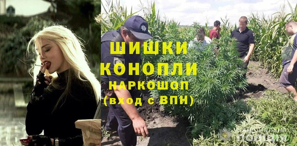 стаф Инсар
