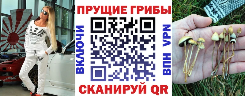 Галлюциногенные грибы ЛСД  Купить где  Зверево 